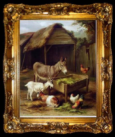 framed  unknow artist Cocks and Sheep 129, ta009-2